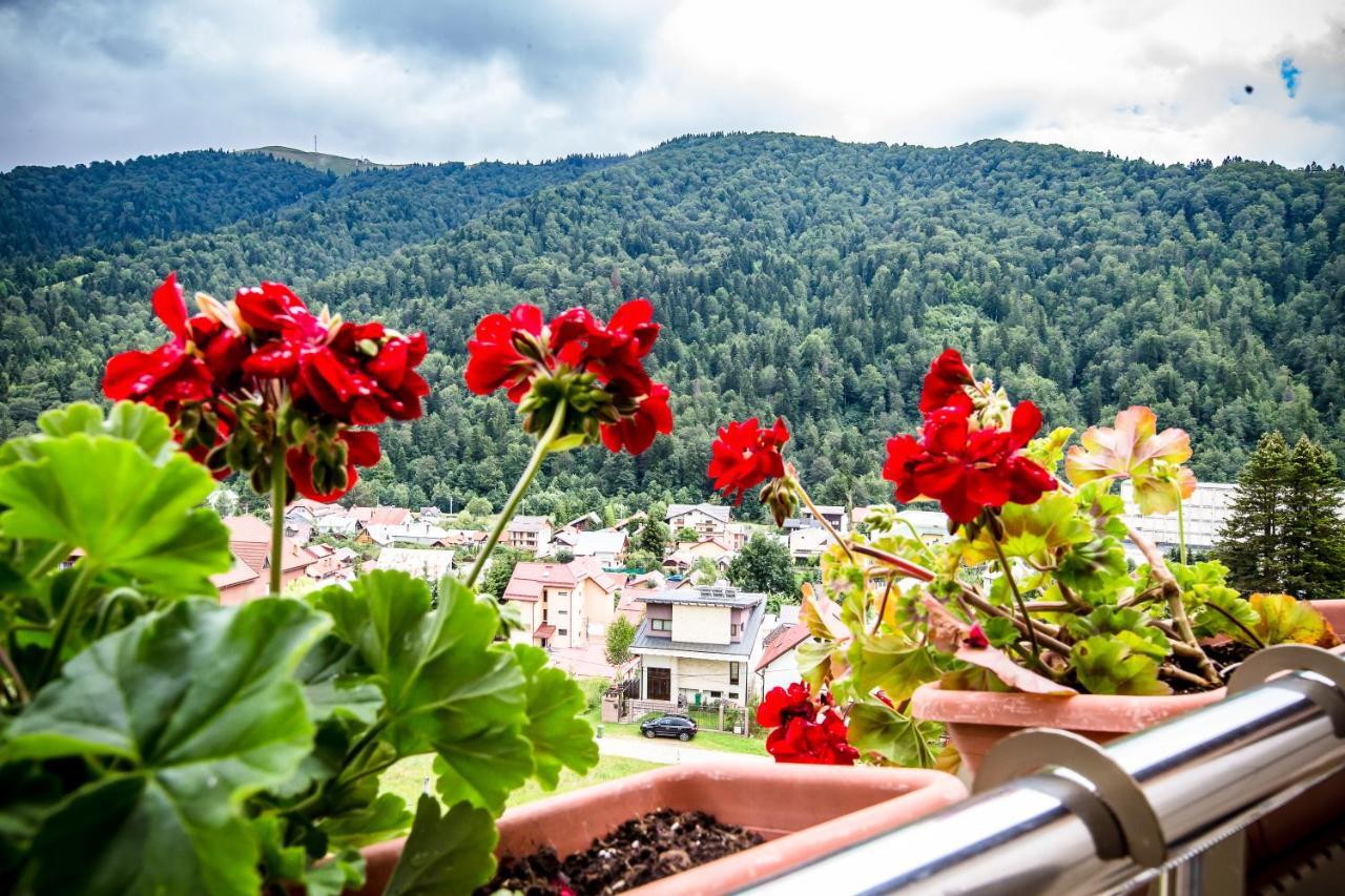 Hotel Carpat Inn Азуга Экстерьер фото